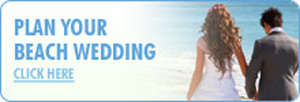 PlanYourWedding